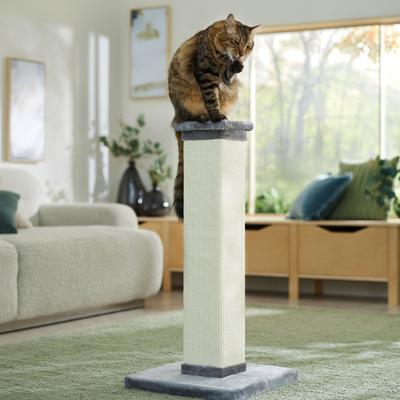 Cat Essentials cover photo collage