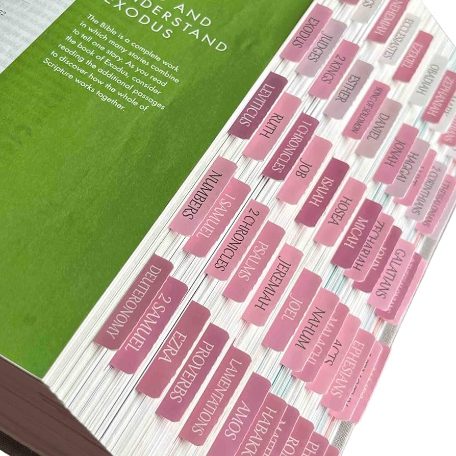 🤍 Pink Faith — All of my favorite items for bible study & closeness with God cover photo collage