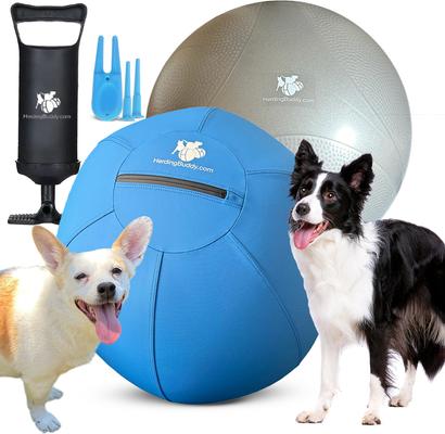 Dog Items! cover photo collage