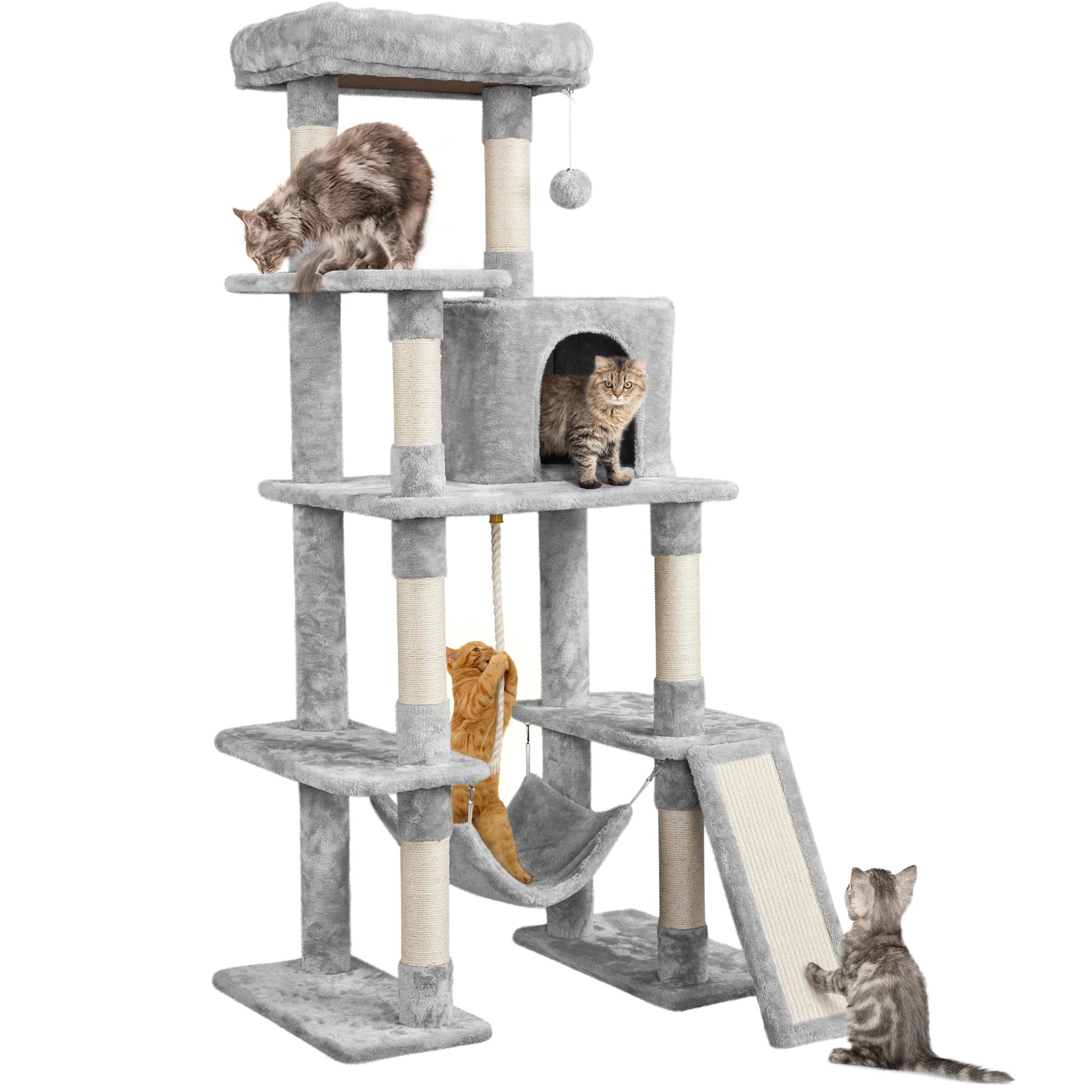 Everything your cat NEEDS! 🐱 cover photo collage