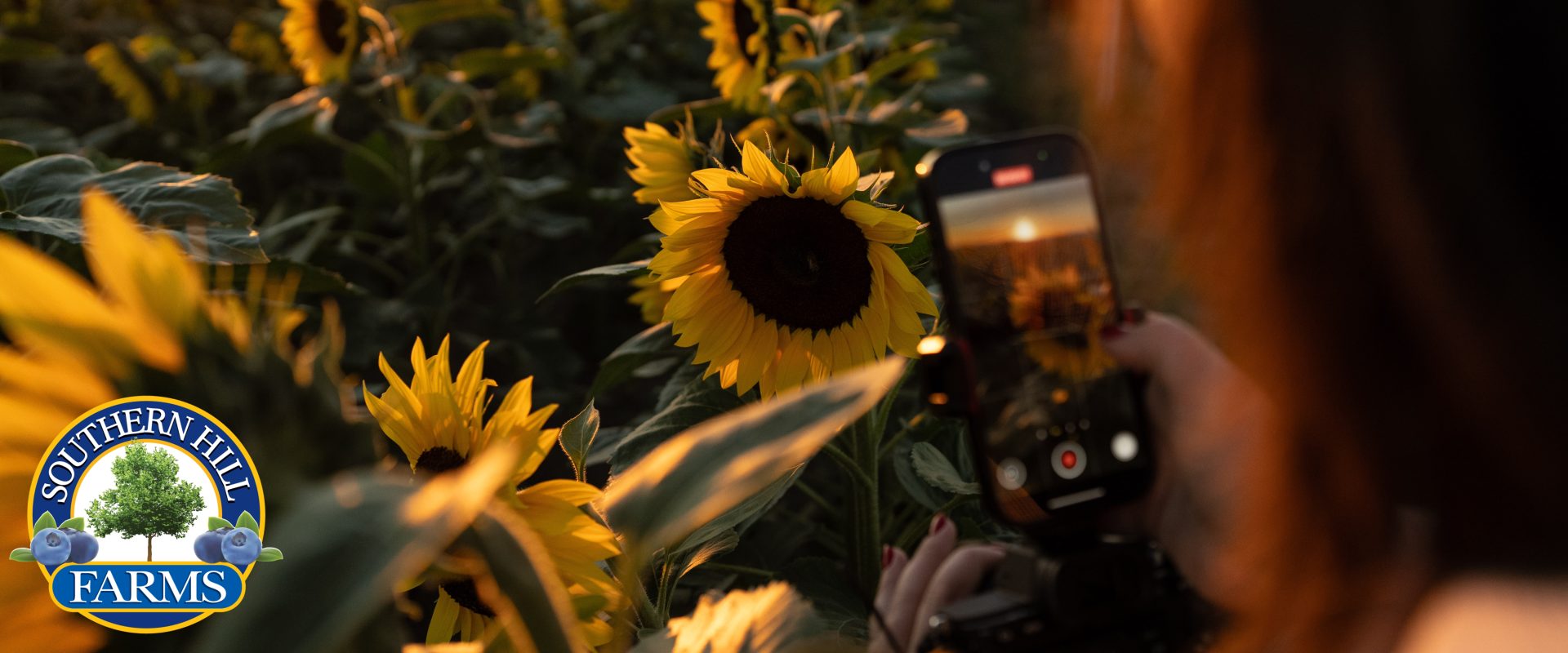 My top Clermont recs cover photo collage