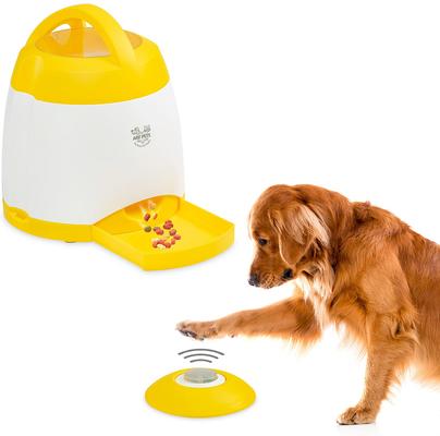 High Energy Rescue Dog Essentials cover photo collage