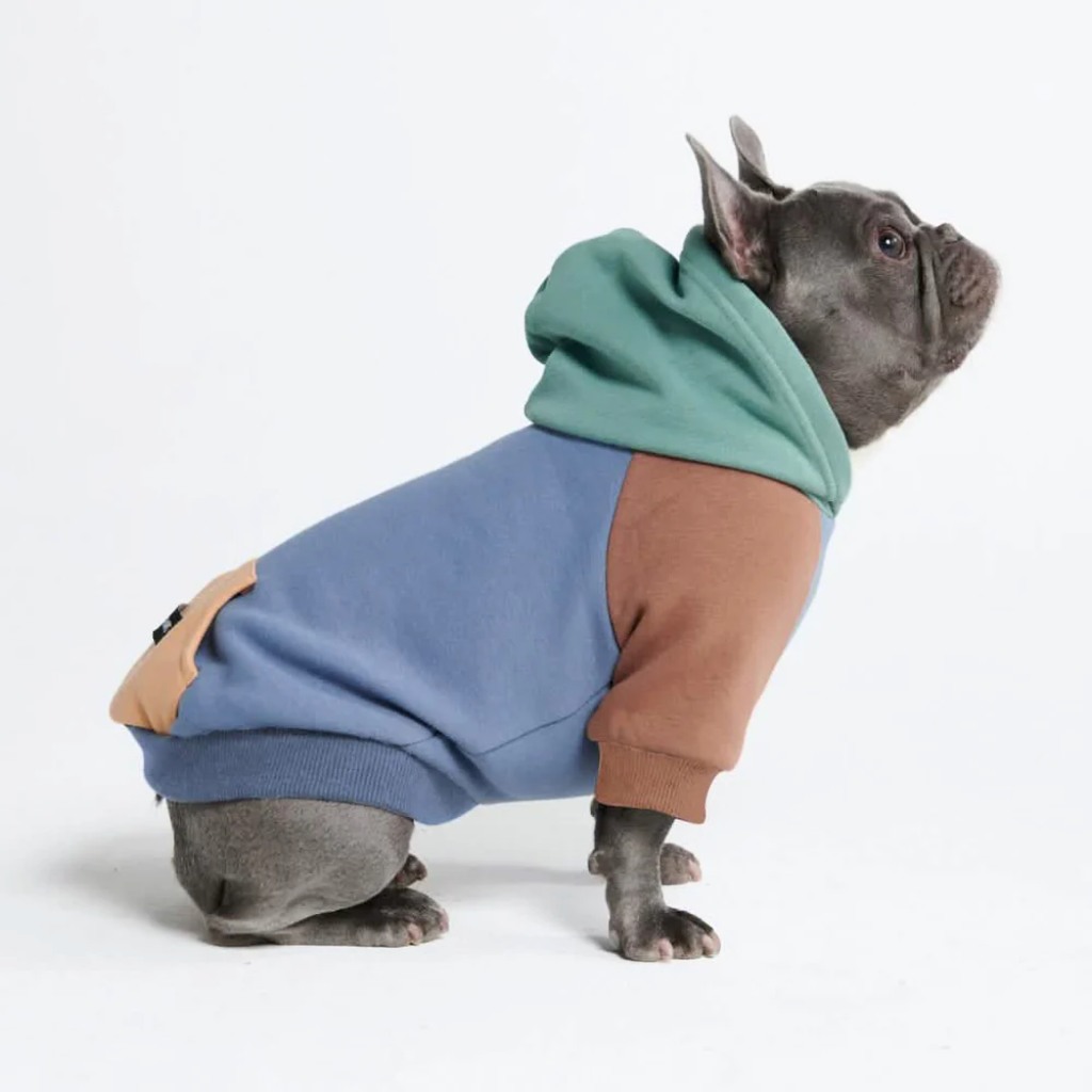 Tried and Loved Frenchie Essentials 🐾 cover photo collage