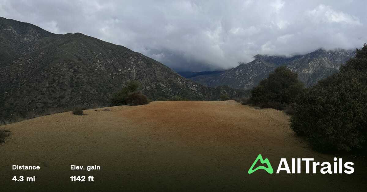 Things to check out in or around Claremont, Ca cover photo collage