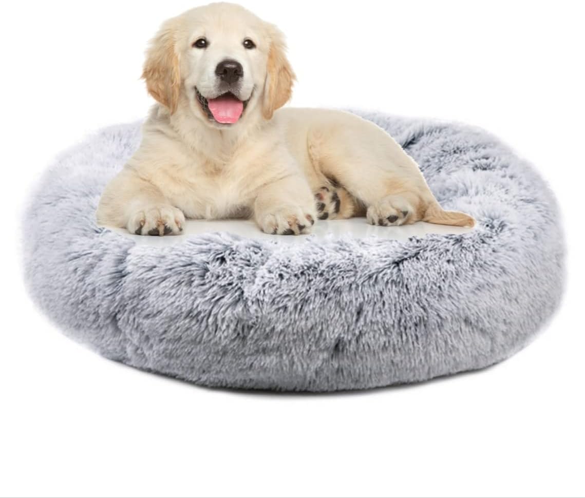 Furbaby Favorites cover photo collage