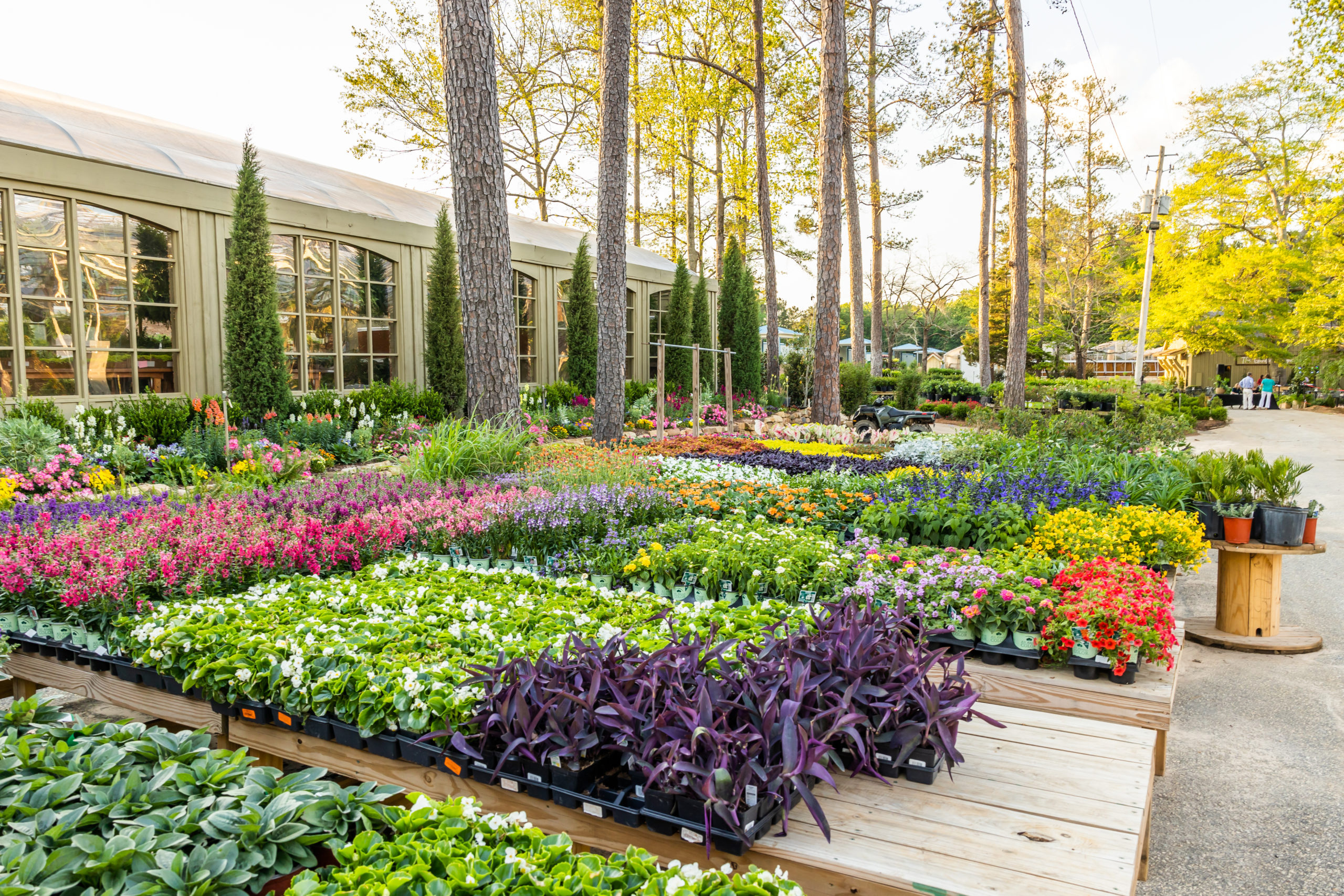 Outdoor/indoor activities to do in Auburn/Opelika cover photo collage