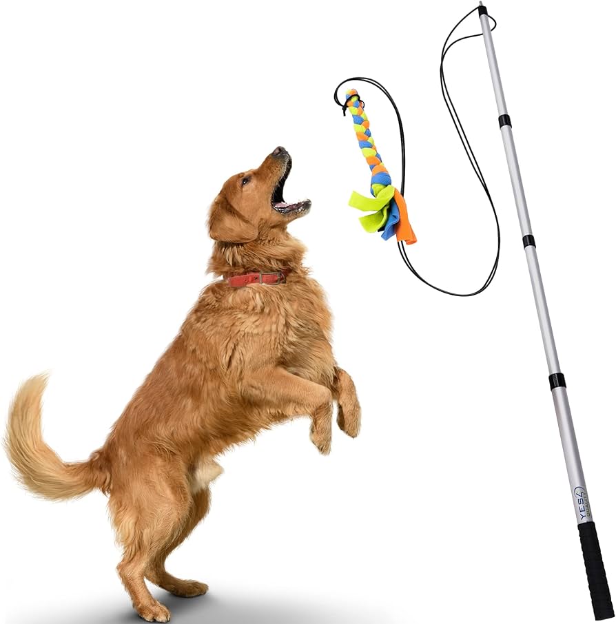 Dog Toys & Enrichment cover photo collage