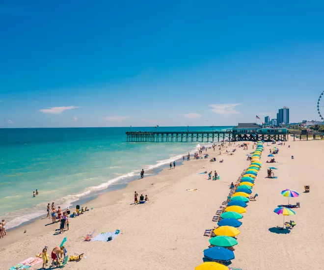 Fun activities to do in the Carolinas cover photo collage