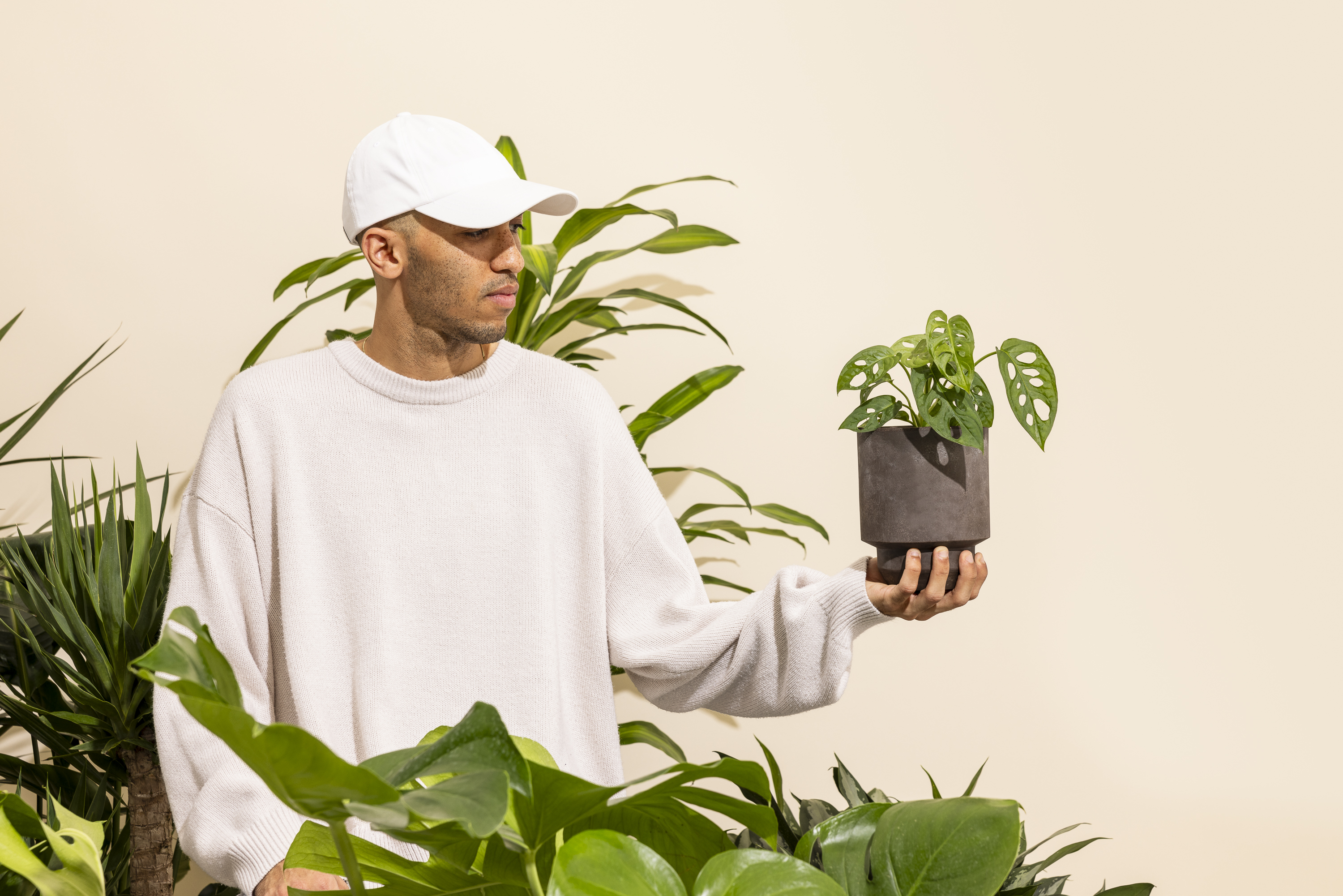 ALL THINGS GREEN-ISH (plants!!) cover photo collage