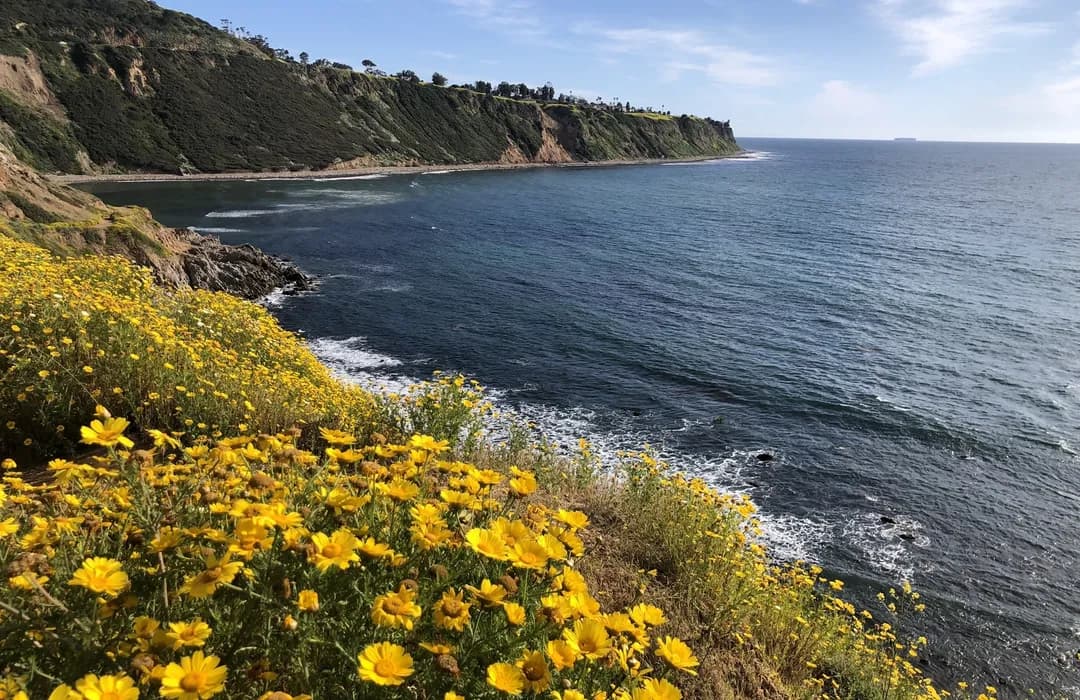 Beach by Beach: Exploring L.A.’s Coastal Tapestry cover photo collage