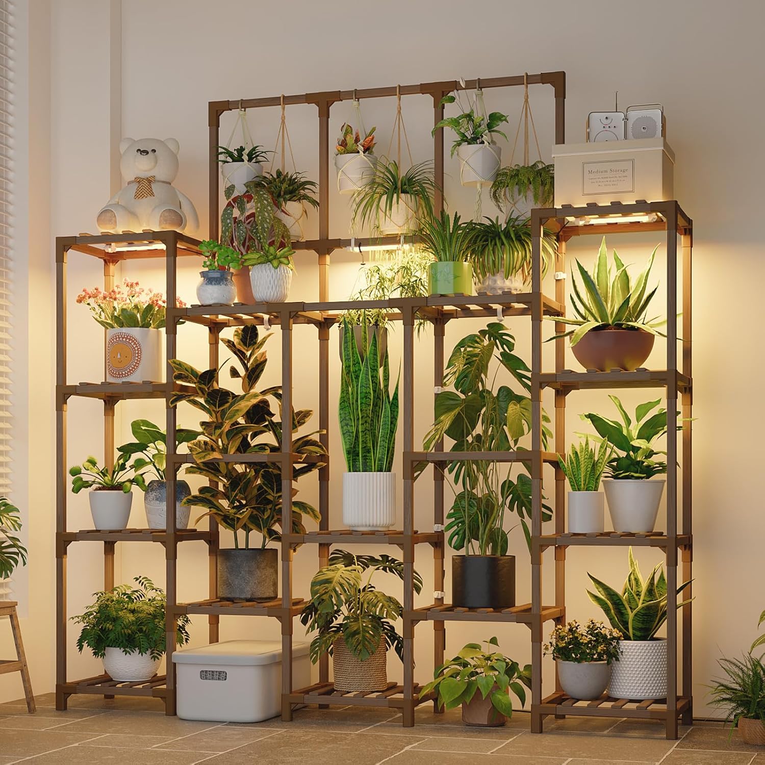 How to Make Your Indoor Jungle Thrive cover photo collage