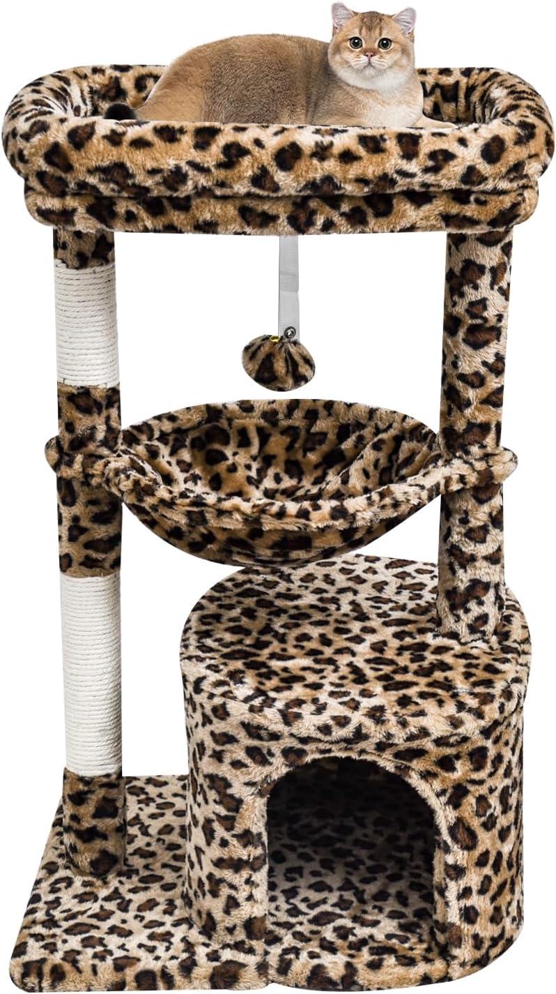 Crazy Cat Lady Essentials cover photo collage