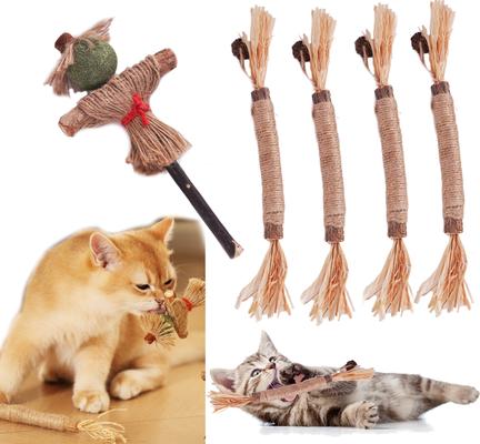 kitty cat necessities cover photo collage