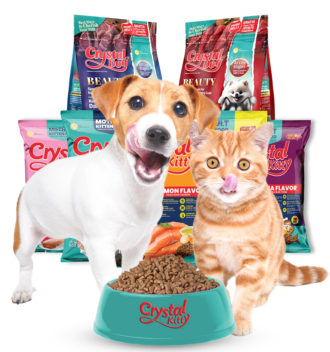 New Pawrents Stuffs 101 cover photo collage