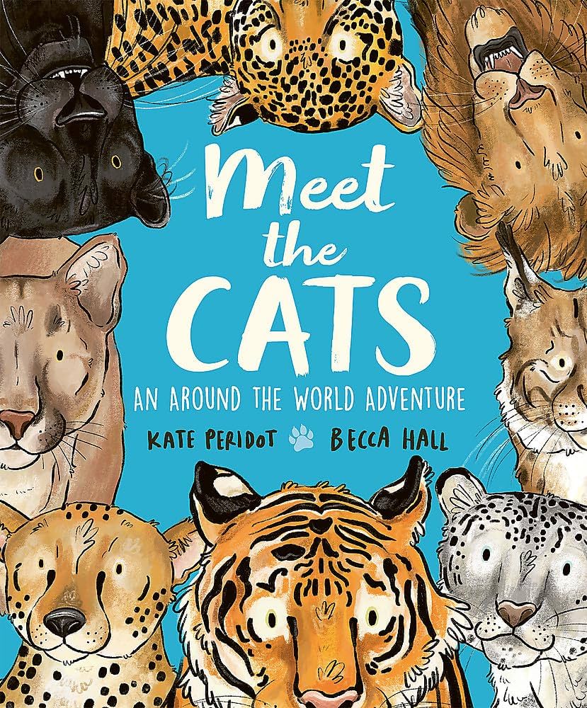 A Picture Book is Worth a Thousand Words cover photo collage