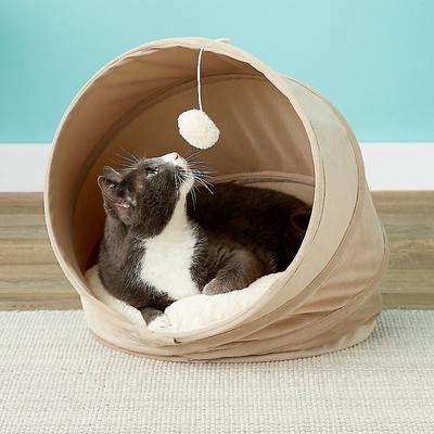Maurice’s staple cat necessities cover photo collage