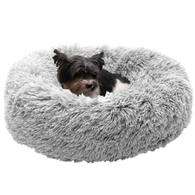Small Dog Essentials Every Pet Owner Swears By cover photo collage