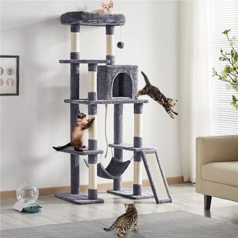 Supplies for New Kitten Parents 🐱 cover photo collage