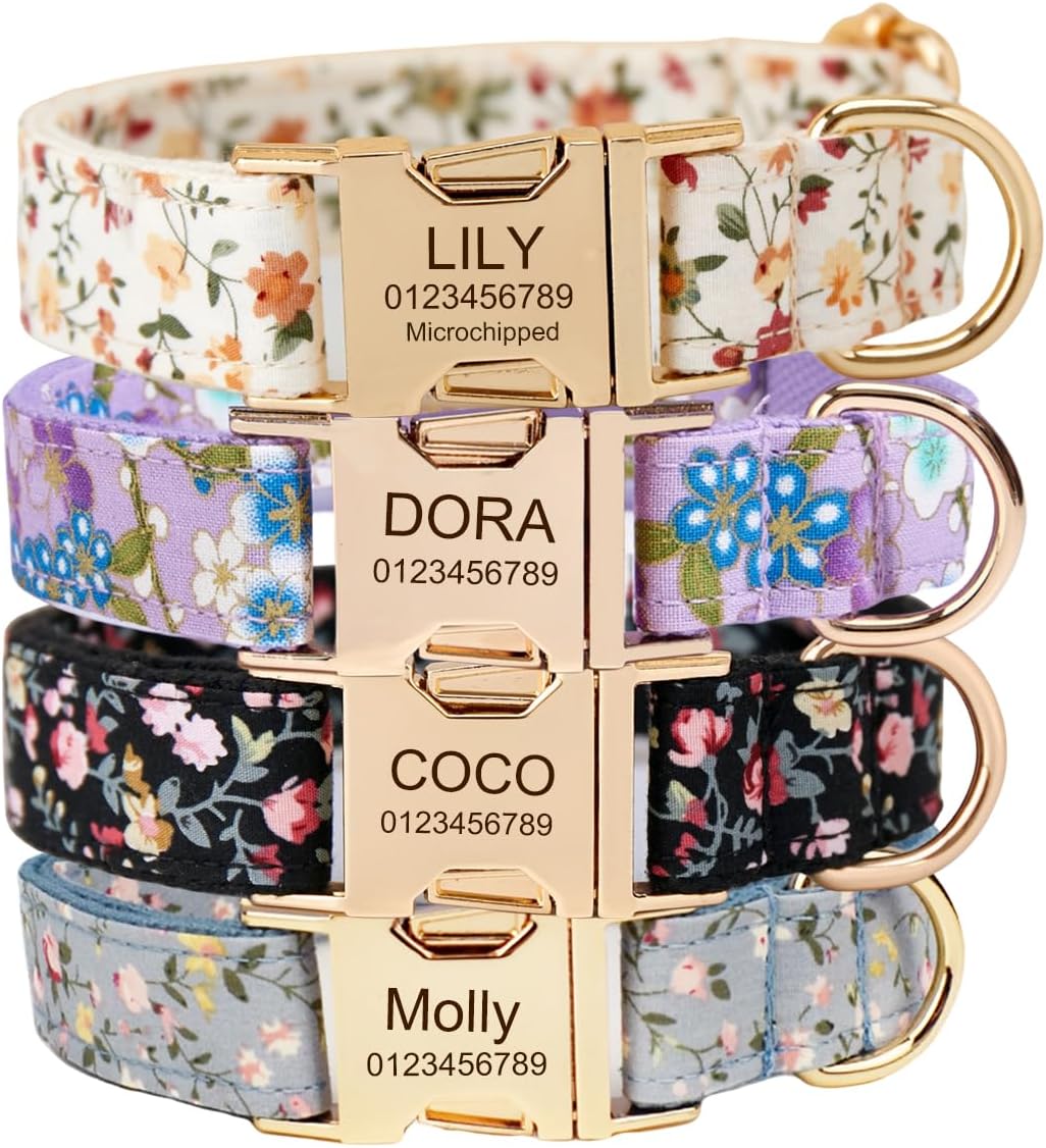 Bougie Pup cover photo collage