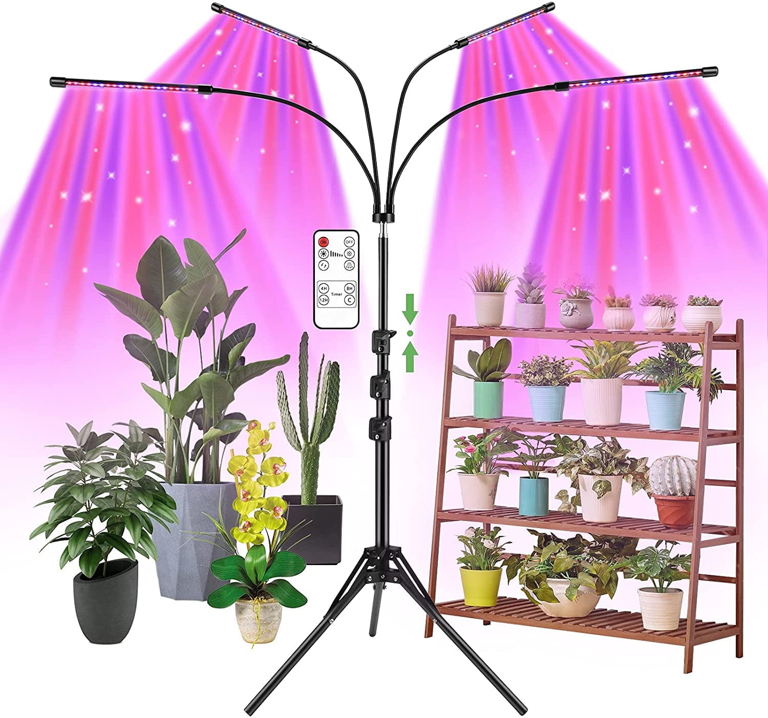 Plant mom must-haves! cover photo collage