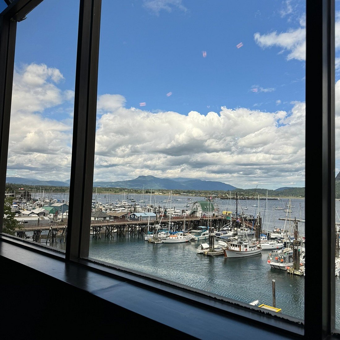 My top Van Isle recs cover photo collage