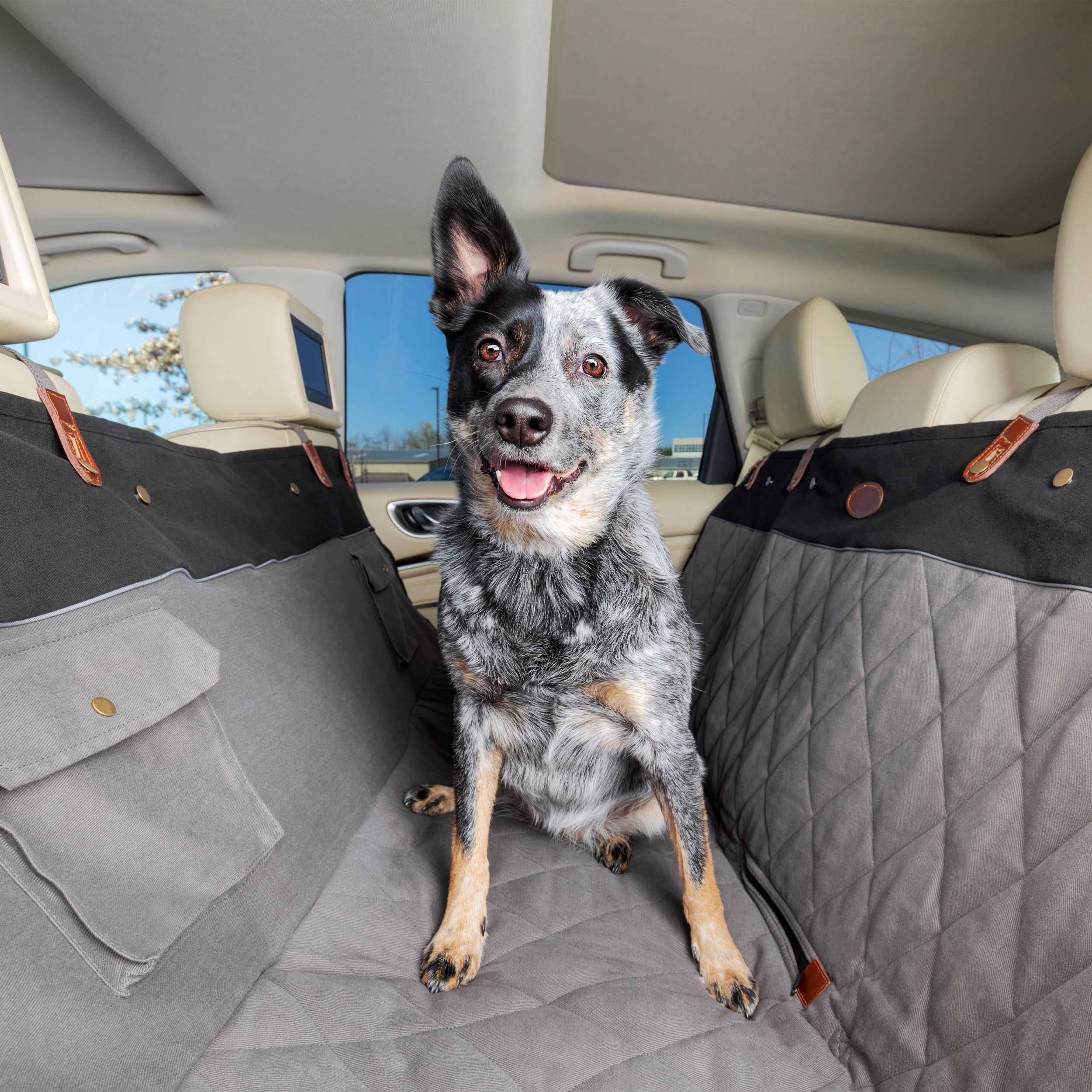Everyday Items both you and your dog will love🐶 cover photo collage