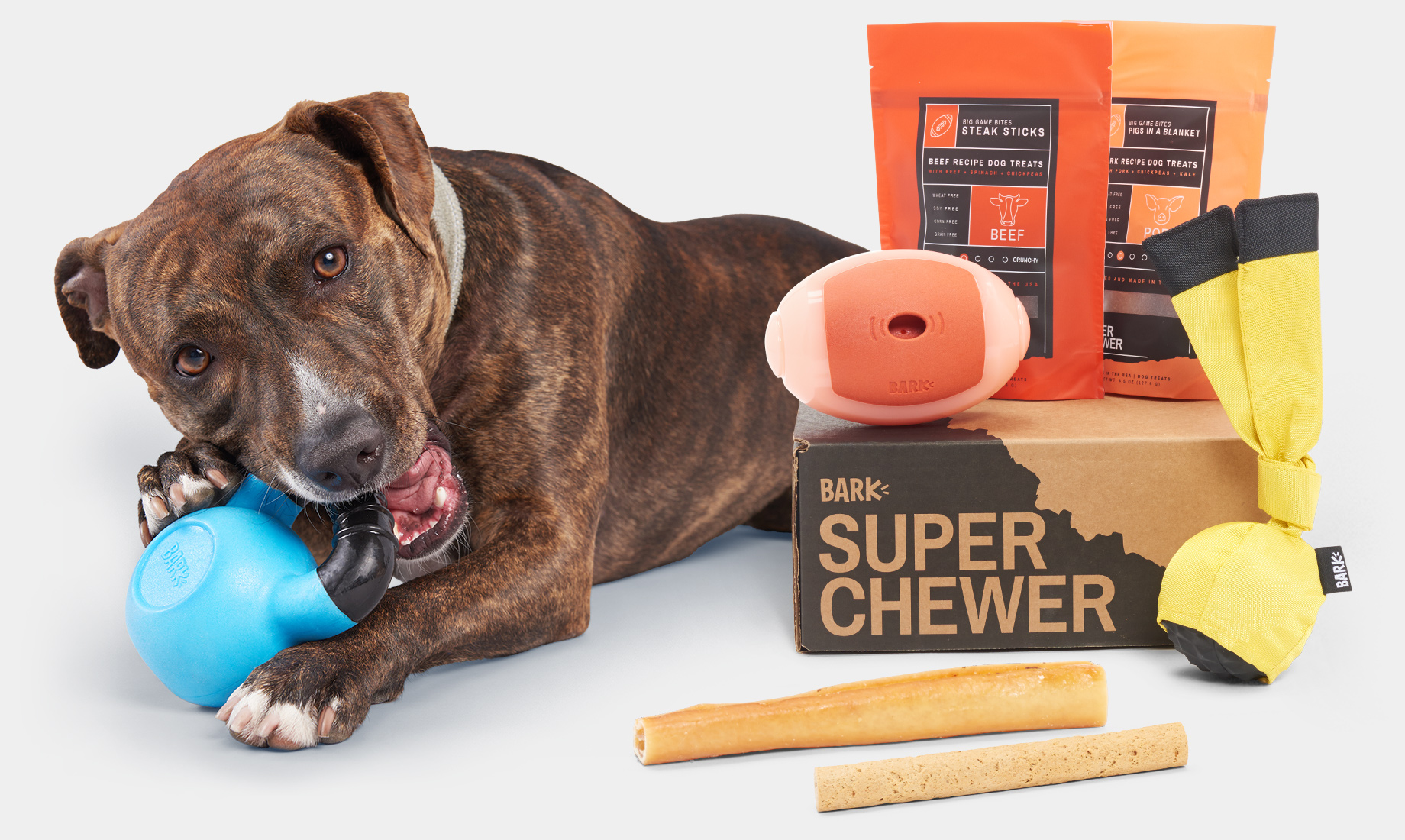 Dog Toys for Aggressive Chewers 🦴 cover photo collage
