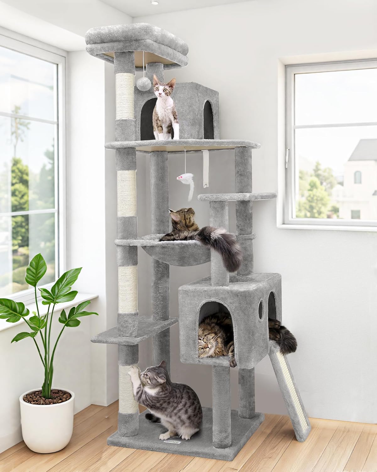 Cat & Kitten Must Haves! 😻 cover photo collage