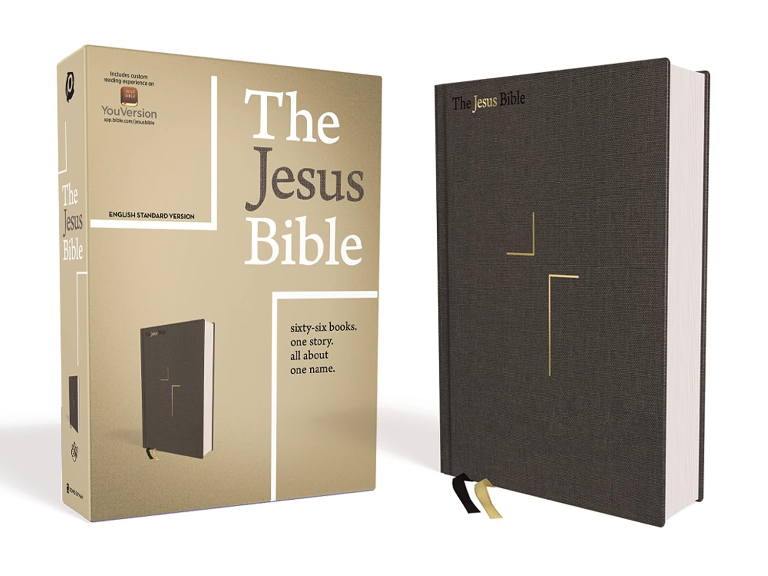Bible Study for Women & Families cover photo collage