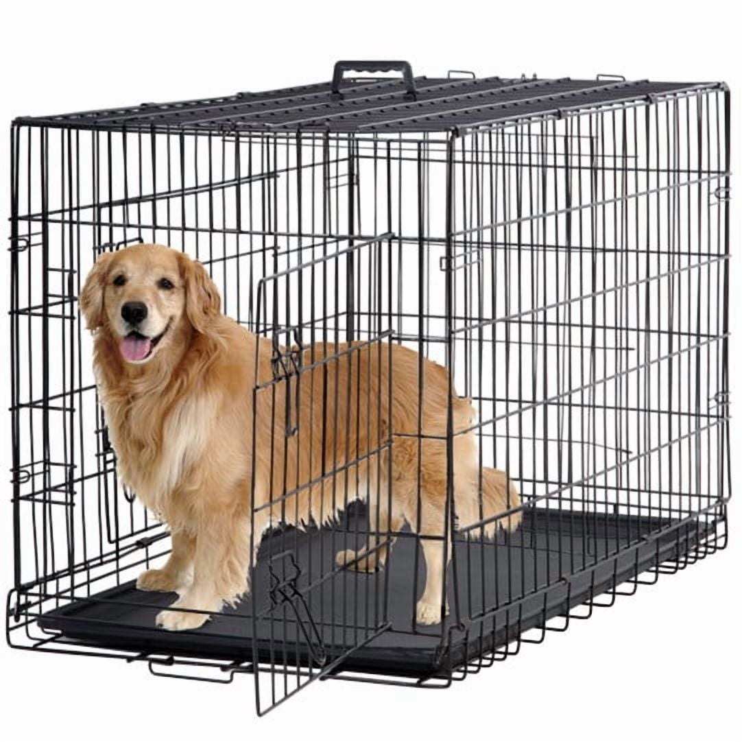 Pet Essentials We Actually Use (Dogs & Cats) cover photo collage