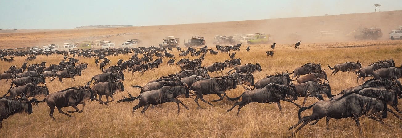 Best Places To visit in Kenya cover photo collage