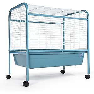 Meat rabbit setup essentials cover photo collage