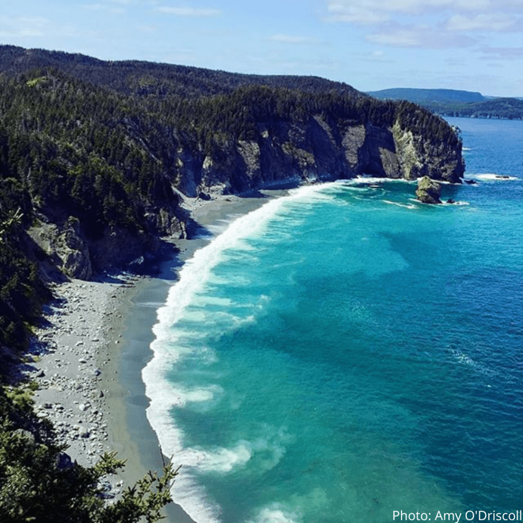 Coastal Gems: The Best Beaches in Newfoundland 🌊 cover photo collage
