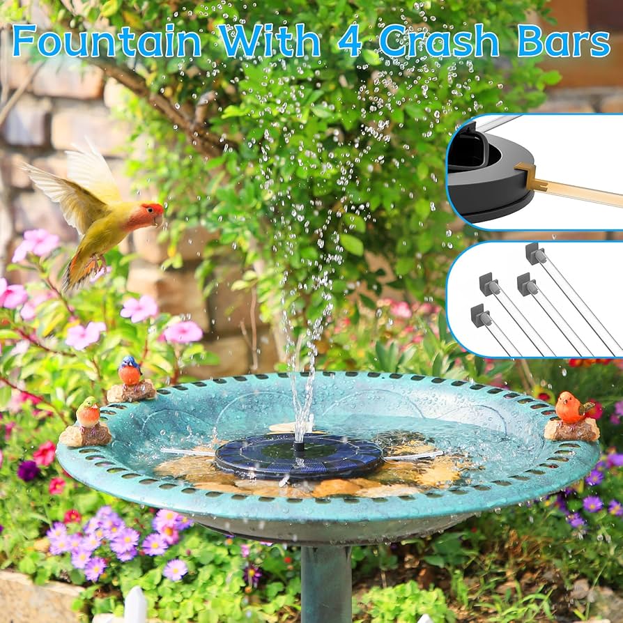 Birding items for an active backyard cover photo collage