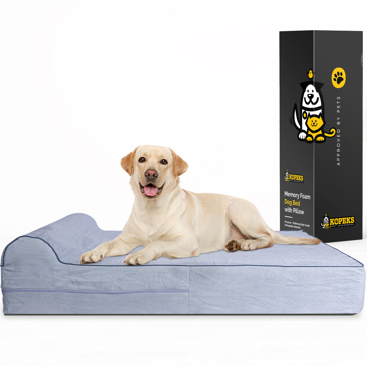 Best Gear for your Best Friend cover photo collage