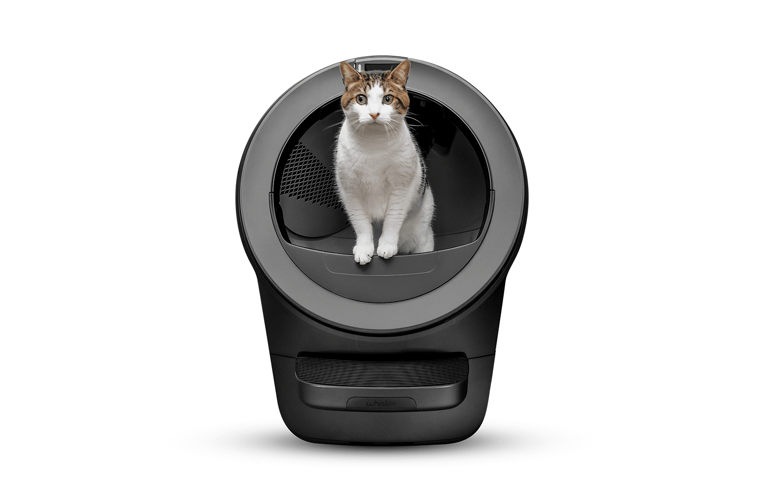 The Cat’s Meow: Top Picks for Happy Cats cover photo collage