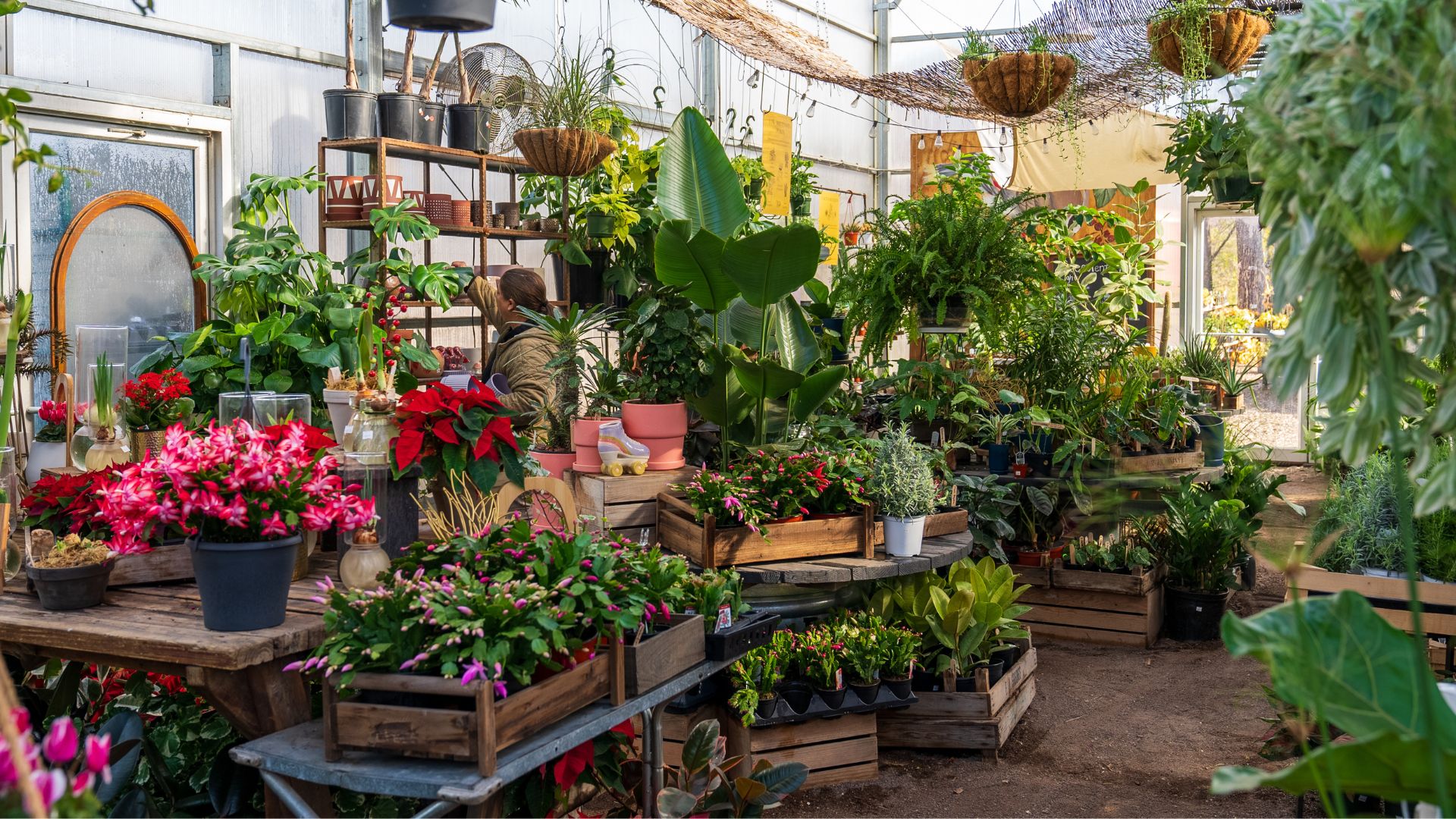 Things to do and places to visit in St. Louis cover photo collage