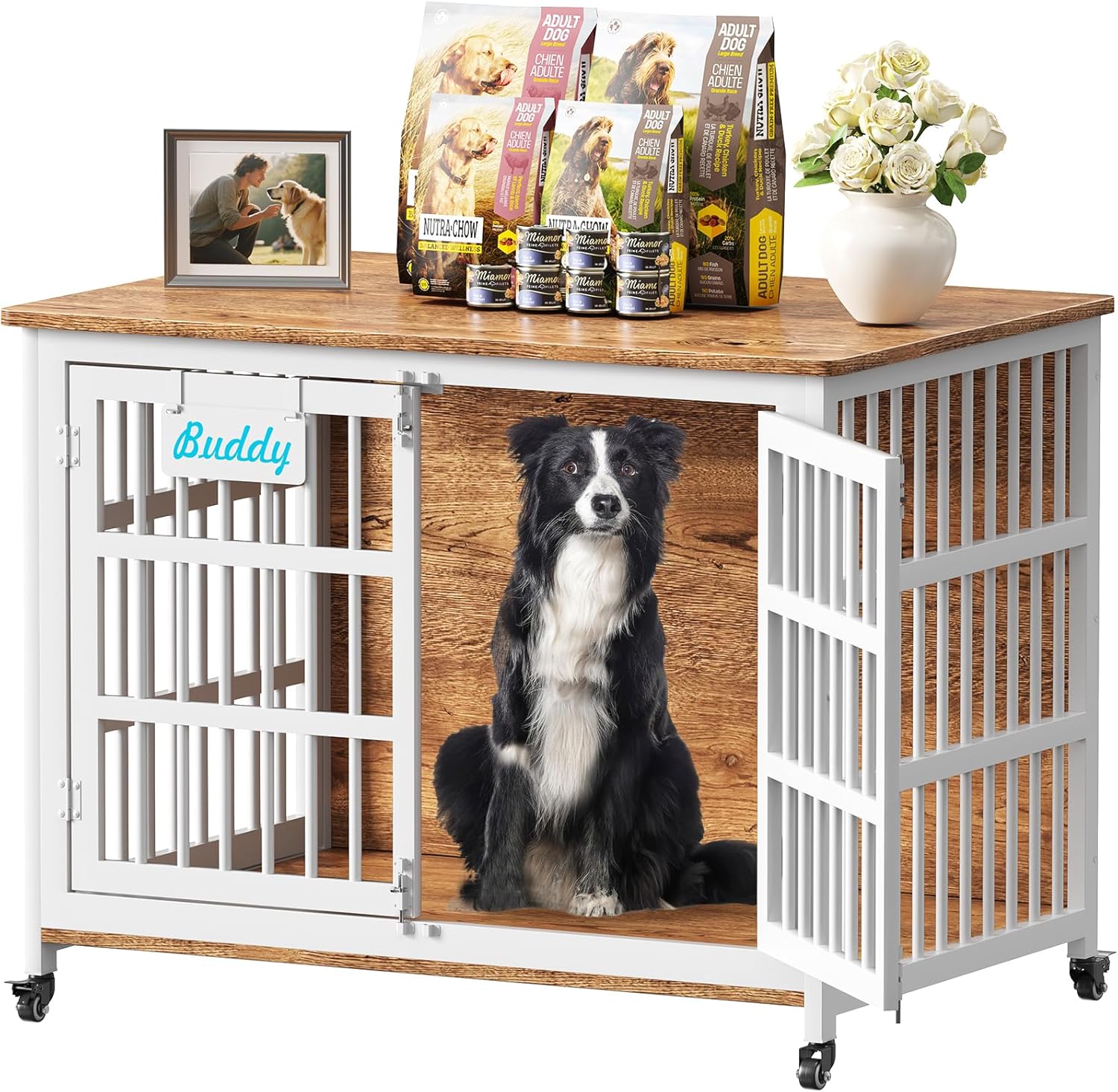 Pet Stuff 🐾 cover photo collage