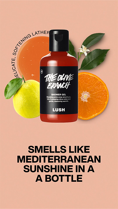 Lush Shop Favorites cover photo collage