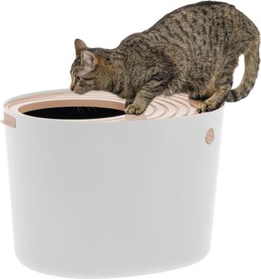 Best Cat Care Items for City Living cover photo collage