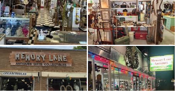 ✋️ Michigan Thrifting & Antique Shops by County cover photo collage