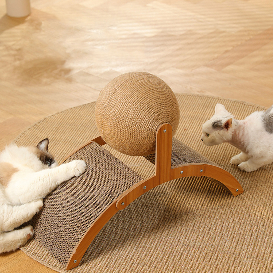 Want to be a Cat Pawrent? Here's the essential you need cover photo collage