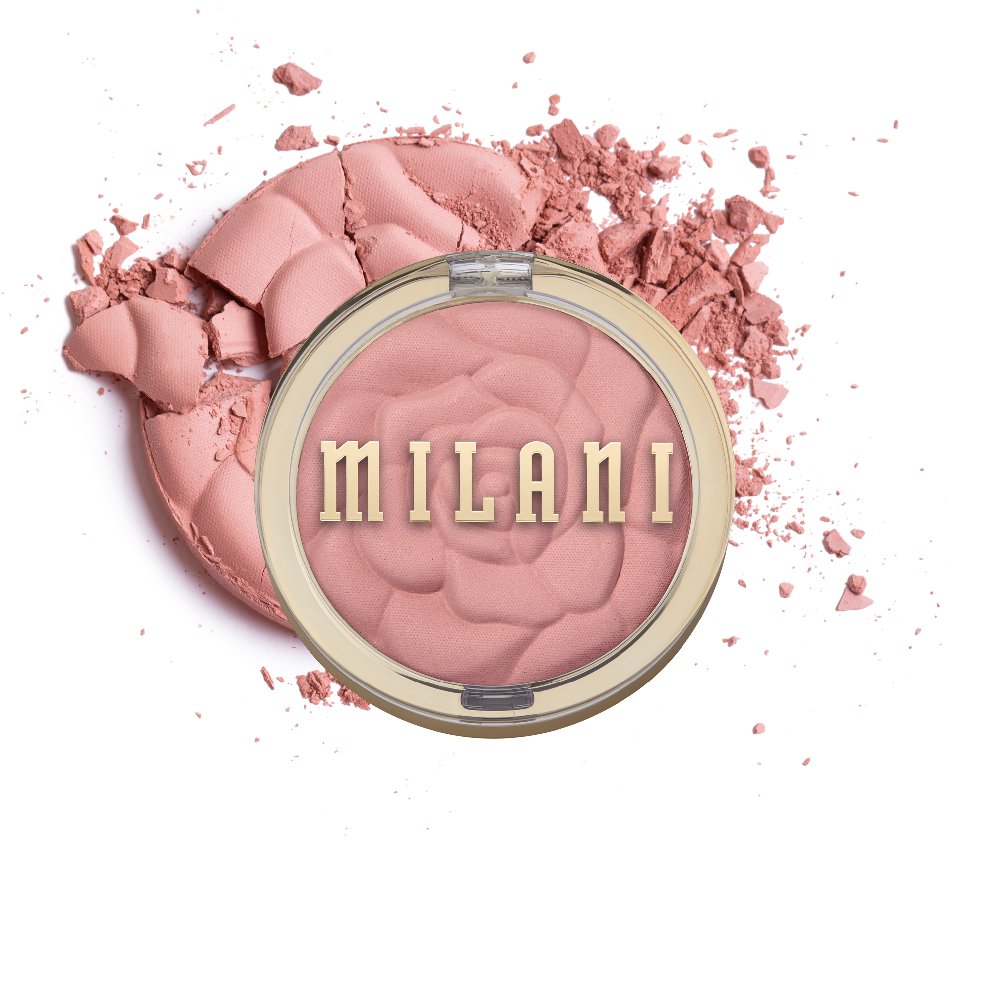 The Blush Bible cover photo collage