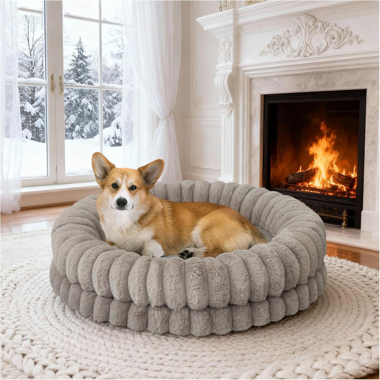 Aesthetic Dog Beds for Stylish Homes (Neutral + Cozy Styles) cover photo collage