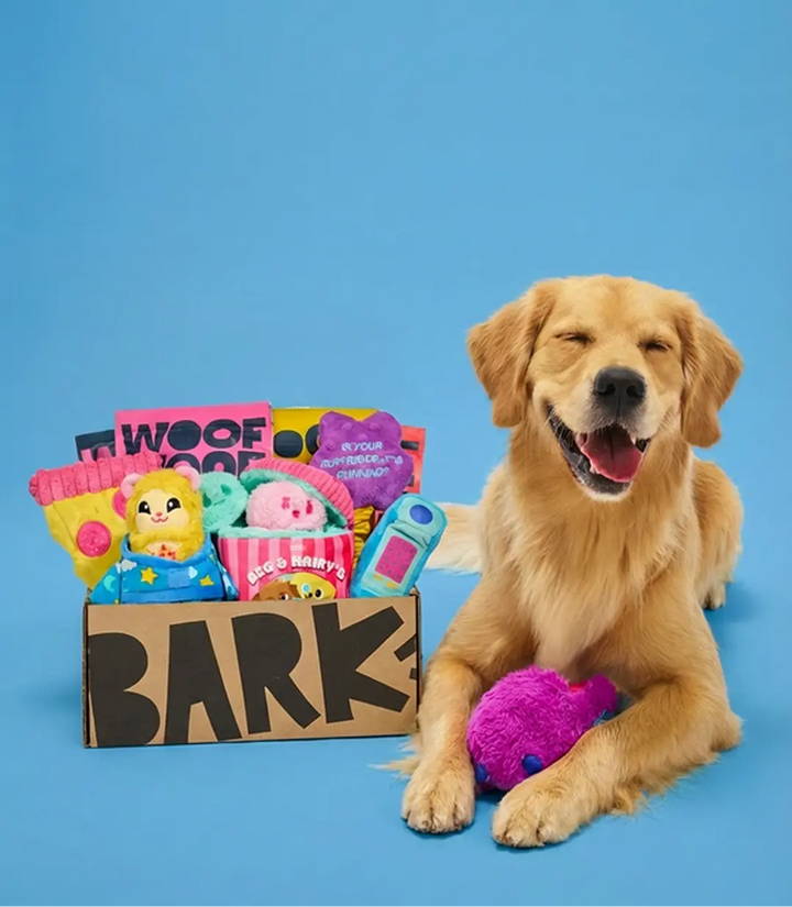 Favorite Products For Dogs cover photo collage