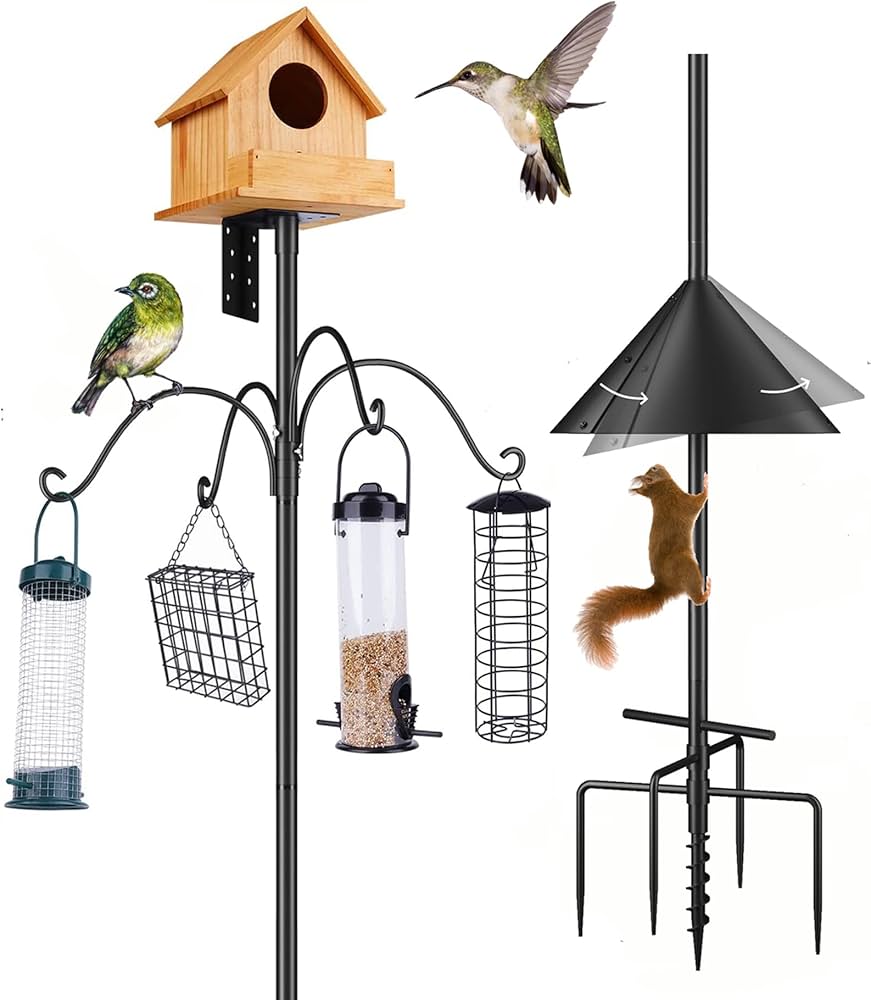 Bird Feeders cover photo collage