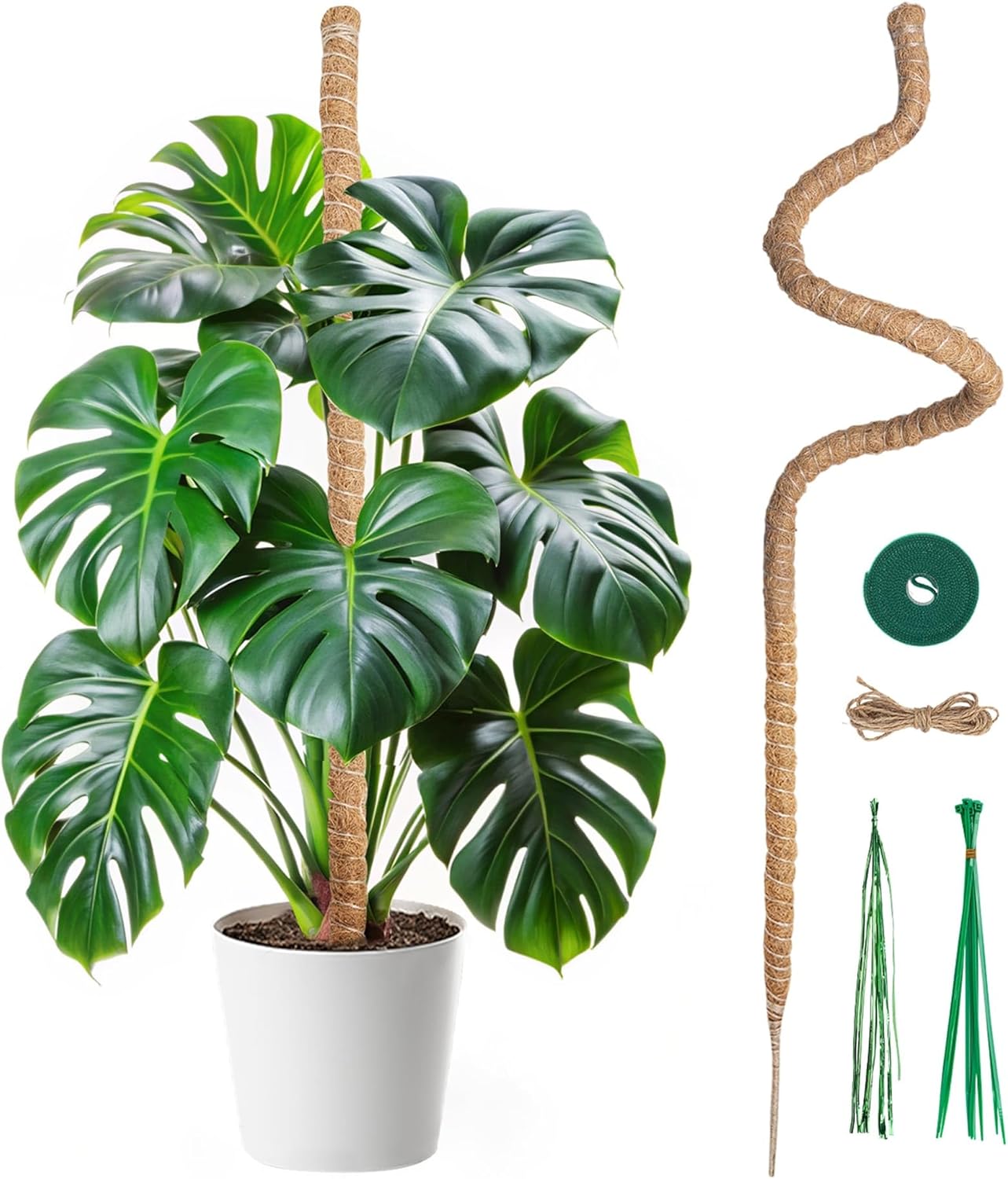 Stem + Leafed cover photo collage