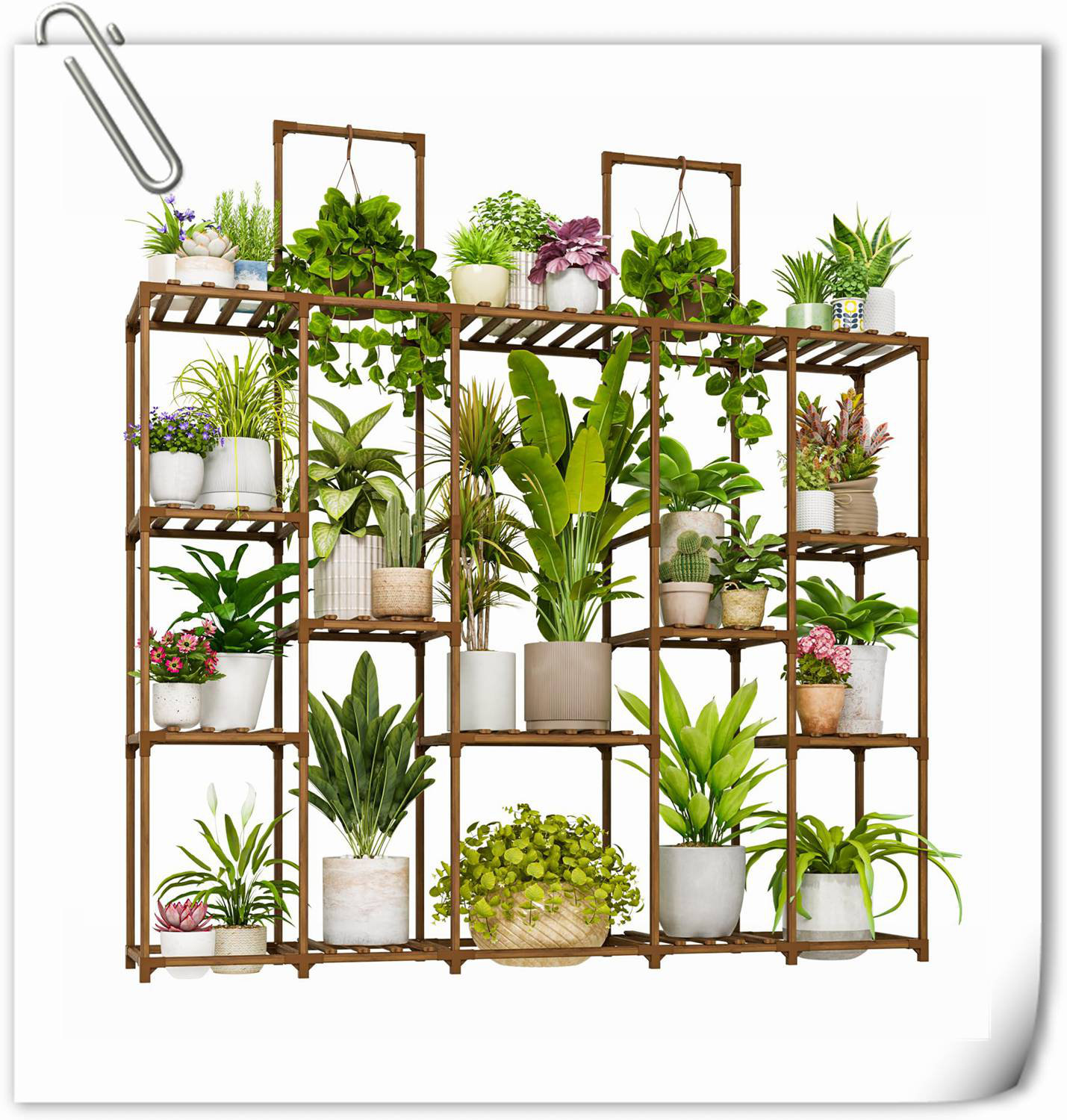 Too many plants, not enough space? cover photo collage