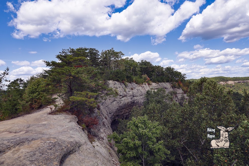 Pizza, Peaks, and Pine: The RRG Shortlist cover photo collage