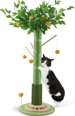 Cat 5 Star Favorites cover photo collage